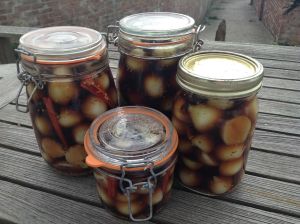 Seal in jars and leave for 6 weeks to infuse
