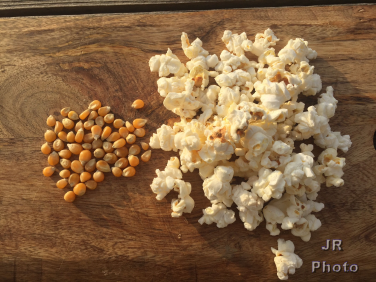 popcorn kernels and cooked